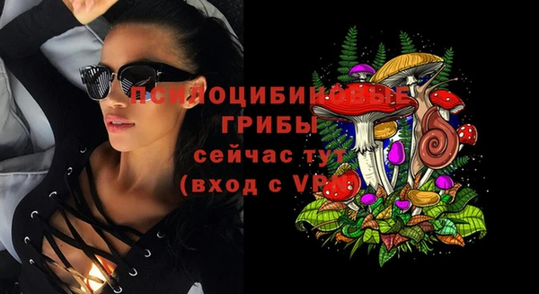 ECSTASY Киреевск