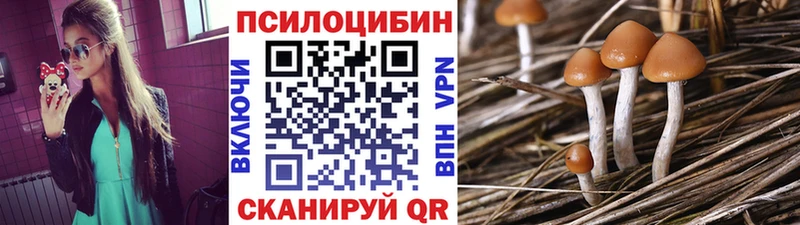 Купить где  Светогорск  Галлюциногенные грибы Magic Shrooms 